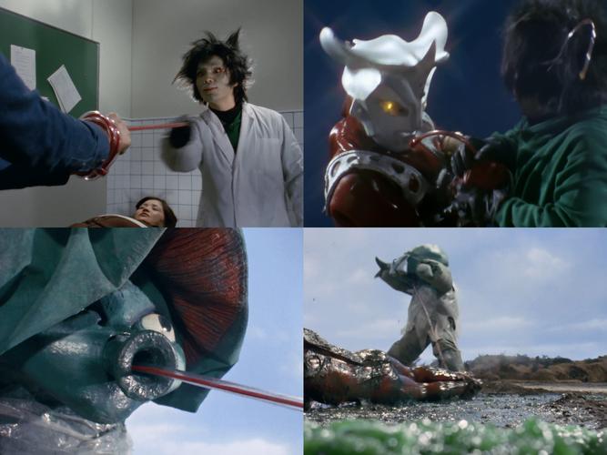 圆盘生物布纽