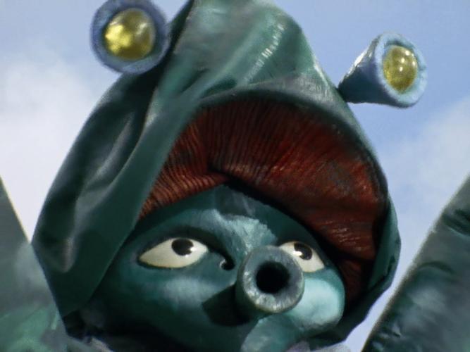 圆盘生物布纽